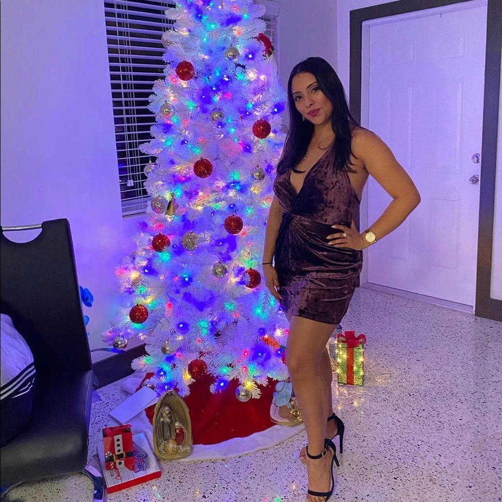 Zara velvet mini dress burgundy